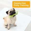 Green Lifestyle Washable Underpads - Large Bed Pads for use as Incontinence Bed Pads, Reusable Pet Pads, Great for Dogs, Cats, Bunny, Seniors Bed Pad (Pack of 2 - 34x52)