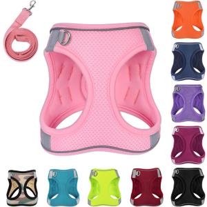 Dog Harness with Leash Set, No-Pull Step-in Reflective Pet Harness with 1 Leash Clips, Adjustable Soft Padded Easy Walk Dog Vest for Small Medium Large Dogs, Cats(Light Pink, XSmall)