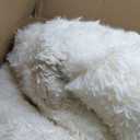 KICHOWUA Thick Area Rug 6x9 Cream White Fluffy Shag for Bedroom Living Room, Soft Plush Washable Thickened NonSlip Fuzzy Furry Carpet, Modern Shaggy Large Rugs for Kids Nursery Boys Girls Dorm, Ivory