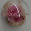 Flowers, Roses, Gift - Fresh Flowers Bouquet & Preserved Flowers Roses for Home Decor - Flowers for Delivery to Show Love - Ideal Flowers Birthday Gift for Women, Unique for Mother's Day & Christmas (Pink)
