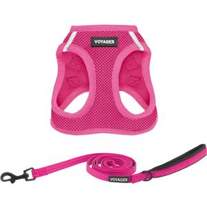 Best Pet Supplies Voyager Step-in Air All Weather Mesh Harness and Reflective Dog 5ft Leash Combo with Neoprene Handle, for Small, Medium and Large Breed Puppies - Fuchsia, XXX-Small