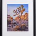 A PLUS MAX Poster Frames 20x24 Picture Frame with mat for 16x20 Picture with Polished Plexiglass Horizontal and Vertical Formats with Included Hanging Hardware-Black (20Wx24L)