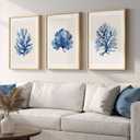 Framed Coastal Coral Wall Art for Living Room, Large Navy Blue Watercolor Coral Artwork for Walls, 3 Piece Minimalist Ocean Beach Marine Plants Pictures Prints for Bedroom Hallway Wall Decor, 16x24 In, 16" W x 24" H x 3Pcs