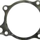 GM Genuine Parts 251-2009 (10101256) Water Pump Gasket