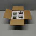 MyGift Miniature Artificial Succulents, Indoor Fake House Plants in Round White Geometric Ceramic Pots, Set of 4