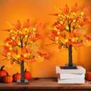 2Pack 24 Inch Maple Trees Fall Thanksgiving Decorations, Lighted Artificial Fall Tree with Lights, Thanksgiving Table Centerpieces Decoration Friendsgiving Decor for Home Office Indoor
