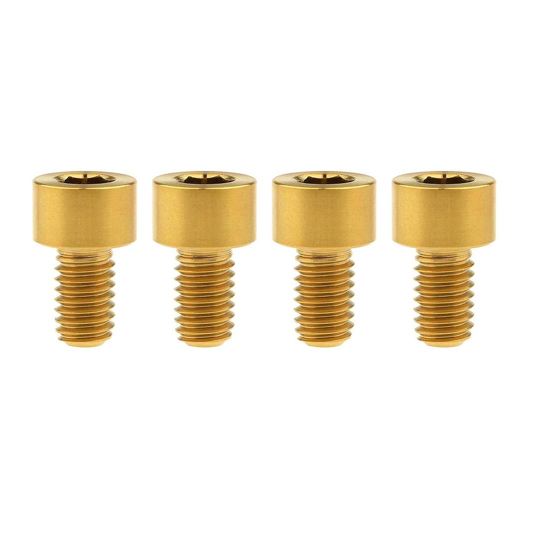 Titanium Ti M6x10 15 18 20 25 30 35 40 45 50 55 60 65mm Socket Allen Hex Bolt Pack of 4 (M6x10mm, Gold)