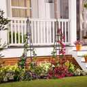 Evergreen Metal Garden Obelisk Trellis for Climbing Plants Outdoor, Indoor Plant Trellis for Potted Plants, Floral Pattern Arch Trellis (Black, 6 ft. Pyramid, Set of 2)