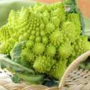 Seeds Vegetable Broccoli Cabbage Romanesco - 300 Seeds