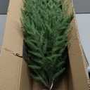 4FT Pre-Lit Artificial Norfolk Pine Christmas Tree  Realistic Potted Tree with 100 LED Lights & 8-Function Battery Box, Pre-Assembled Faux Holiday Dcor for Indoor Use