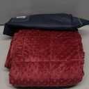 CuteKing Weighted Blanket - 40"x60" 10lbs Minky Dots Heavy Blanket with Glass Beads Soft Breathable for All-Season Summer Fall Winter Thick Comfort for Sleeping (21-Clare Red Bubble)