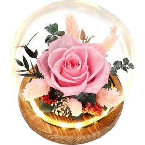 Preserved Roses & Fresh Flowers Bouquet Gift for Women, Roses that Last Forever, Flowers for Delivery Prime Birthday, Mothers Day & Christmas