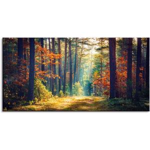 Autumn Forest Large Stretched Canvas Wall Art For Living Room Bedroom Home Decoration,Mordern Morning Sunlight Wood Print Picture Painting Decor Giclee Artwork,Gallery Wrapped Gift,Inner Frame(30x60) (60L" x 30W", Vivid Nature Grove Scenery)