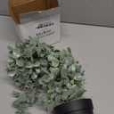 Fake Potted Plant Plant Vine Pendant Simulation Rattan Pendant Wall Decor