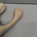 BetterBone - Medium Density - Ideal for Moderate to Strong Chewers - All-Natural, Nylon-Free Dog Chew Toys - Non-Toxic, Promotes Dental Health, Splinter-Resistant, Sustainably Made (Large)