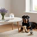 Dog Themed Gifts Candles - Lavender Scented Candle - Dog Mom Gifts for Women for Mothers Day - 100% Soy Wax, Long Lasting - pet Odor Eliminator Candle