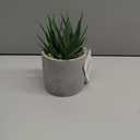 Kurrajong Farmhouse Artificial Plant Indoor | 7" high Fake Plant | Artificial Succulent in Pot | Fake Succulent | Faux Plant in Pot for Desk Decor