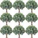Taiyin 60 Pieces Artificial Eucalyptus Leaves for Wedding Eucalyptus Leaves Stems Decor Greenery Faux Green Stems for Wedding Centerpiece Floral Home Decor, 11 Inches