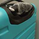 Wrangler 22" Hardside Spinner Carry-On Luggage, Teal