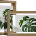 Egofine 4x6 Floating Frames Set of 2, Double Plexiglass Picture Frame, Made of Solid Wood Display Any Size Photo up to 4x6, Wall Mount or Tabletop Standing, Carbonized