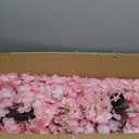 Artificial Cherry Blossom Tree - Handmade Pink Fake Cherry Blossom Tree Centerpieces for Wedding Party Christmas Garden Indoor & Outdoor