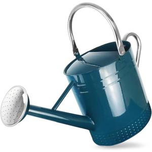 2 Gallon Meltal Garden Watering Can Removable Spout, Galvanized Steel Large Water Can with Embossed Design for Outdoor Indoor Plants (Ocean Blue, 2 Gallon)