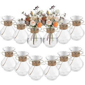 Bokon 5.7" Plastic Small Vases for Centerpieces, Plastic Bud Vase Bulk, Hyacinth Avocado Growing Vases, Tiny Flower Bulb Plant Propagation Containers for Wedding Living Room Table Decorations(12 Pcs)