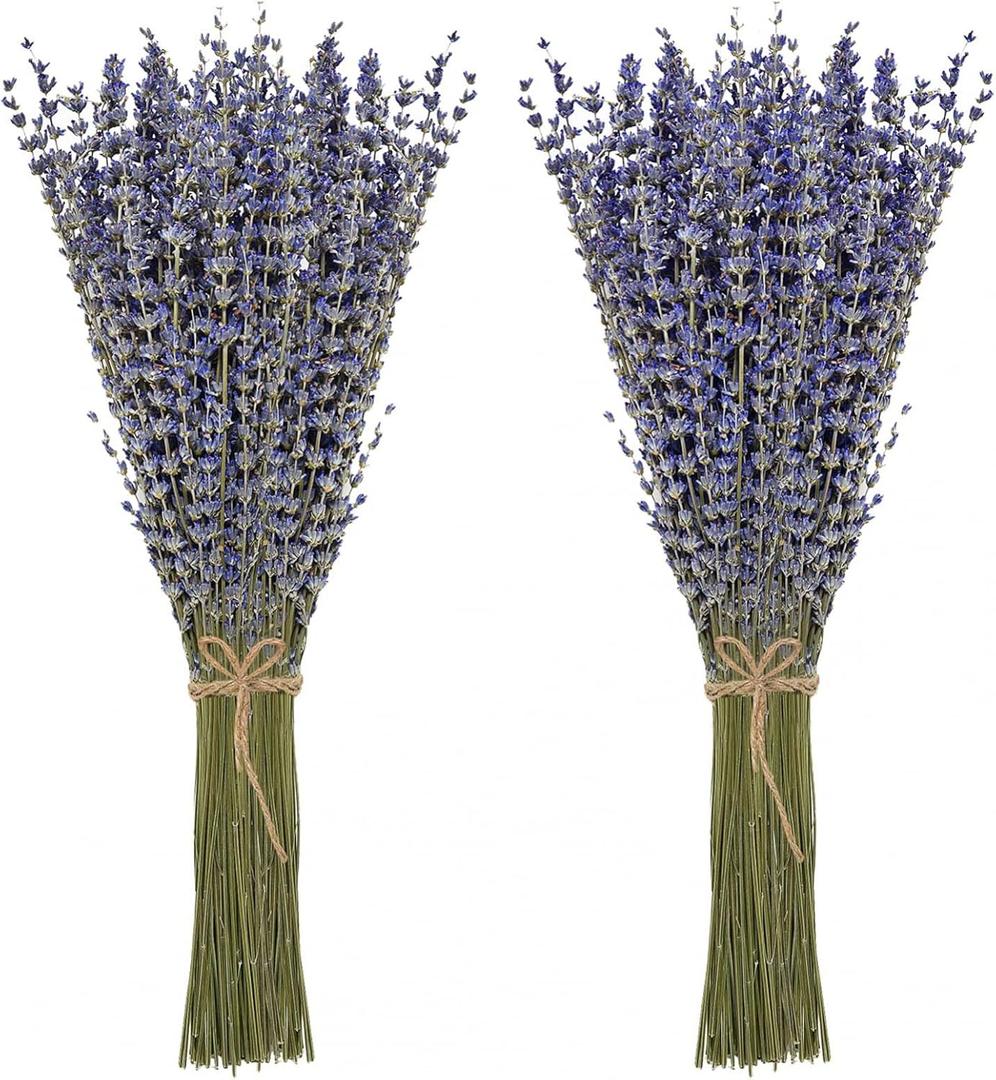 Timoo Dried Lavender Bundles 100 Natural Dried Lavender Flowers for Home Decoration, Photo Props, Home Fragrance, 2 Bundles Pack