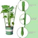 Garden Plant Support Tomato Cage, Upgrade Trellis for Climbing Plants, Plant Trellis Kits (2 Pack-18)