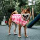 ASENKU Dog Sweater, Plaid Dogs Fleece Vest, Soft Comfortable Pet Pajamas, Warm Winter Puppy Shirt, Cold Weather Coat Jacket Pet Clothes for Small & Medium Dog Breeds