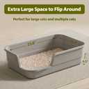 Extra Large Cat Litter Box with High Sides for Indoor Cats, Low Entry Kitty Litter Pan, Anti-Splash Open Litter Tray, Easy to Clean Cat Box for Kittens & Senior Cats, 23.6 x 15.7 x 5.9 in, Grey