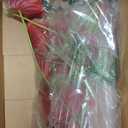 Hanaive 20 Pcs Artificial Anthurium Flowers 23.6 Inch, Red
Faux Anthurium Flowers for Wedding Vase DIY Bouquets Table Centerpiece Arrangements Bridal Shower Party Home Decor