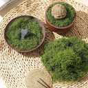 ZZBEARRQI 5.3 oz Fake Green Moss for Potted Plants, Faux Moss for Crafts, Artificial Green Moss for Plants Indoor, Moss Decor for Table Centerpieces, Art Landscape, Gardening, DIY Projects Dark Green