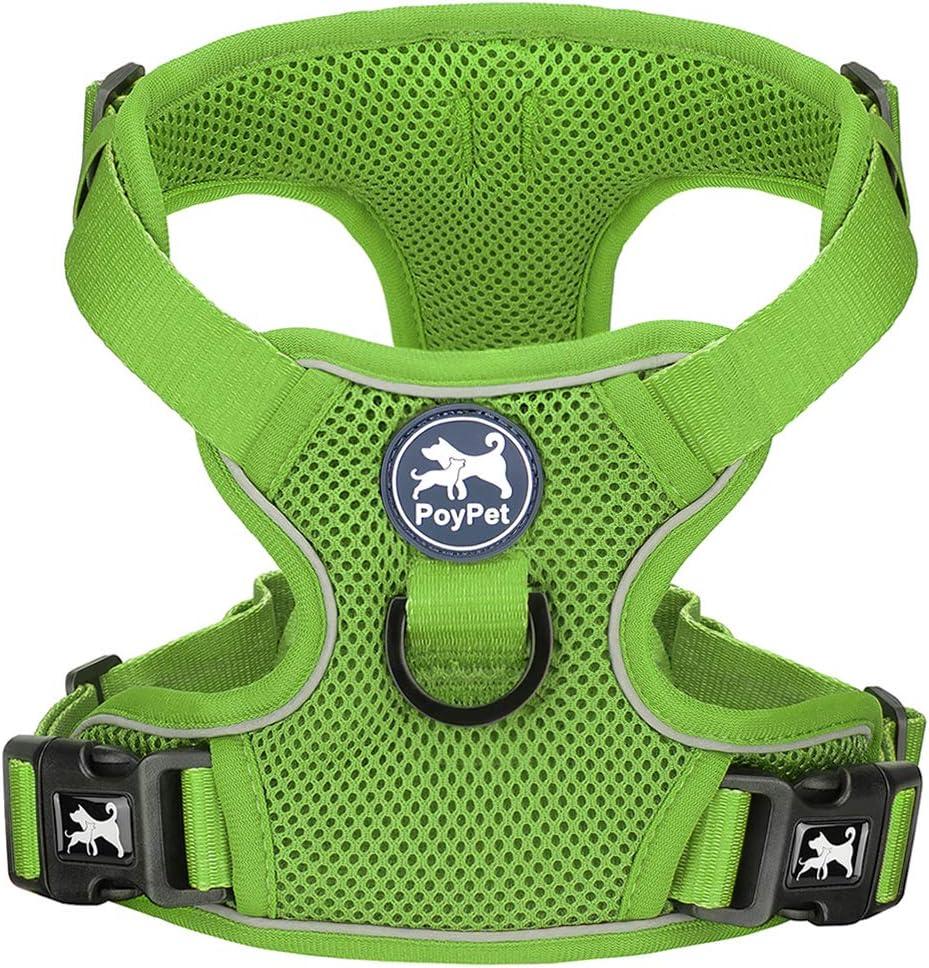 PoyPet Reflective Soft Breathable Mesh Dog Harness Choke-Free Double Padded Vest with Adjustable Neck and Chest(Grass Green,XL)