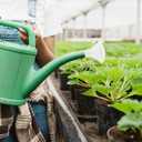 Milisten Water can Sprinkler Head Replacement Nozzle 3.14X2.75 Inch Universal Sprayer Spout for Indoor Outdoor Garden Plants Bonsai Watering (8.00X8.00X7.00CM, White)