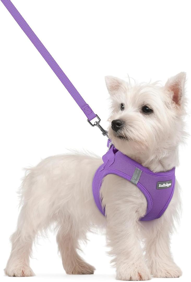 rabbitgoo Dog Harness Small Sized and Leash Set, Step in Soft Light Puppy Vest, Breathable Mesh Pet Harness, Reflective for Safe Outdoor Walking, Purple S (S (Chest: 15.1 - 16.5"))