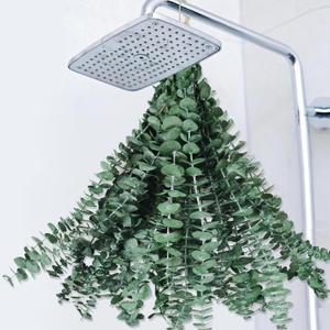 22 PCS Dried Eucalyptus Bundle for Shower - 17" Large Preserved Eucalyptus Stems Shower Plant, Fresh Real Eucalyptus Leaves for Shower Hanging, Artificial Flowers Arrangement, Home Bathroom Decor