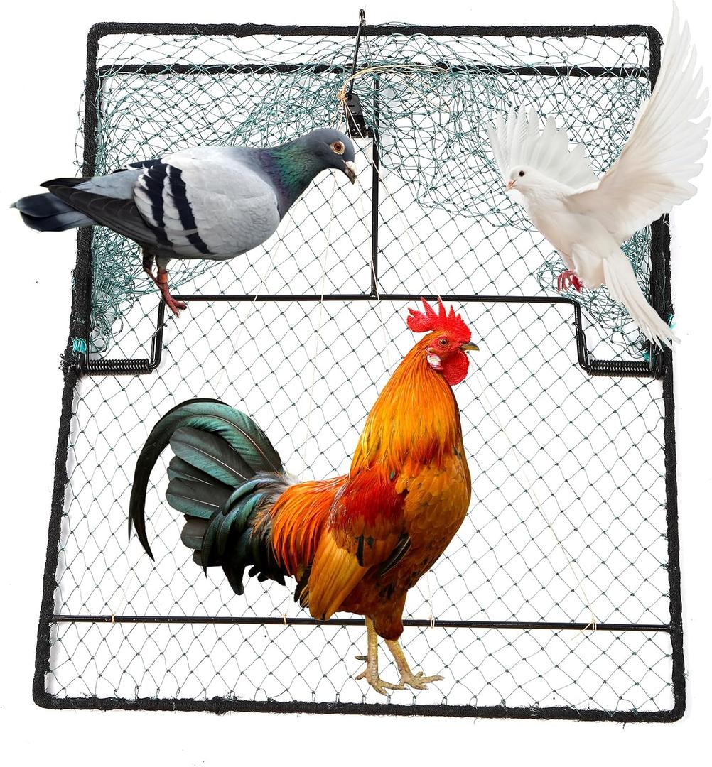 Humane Pigeon Trap,Bird Trap for Quail,Turkey,Net Traps (19.7x23.6 inch)