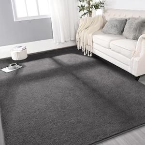 Large Ultra Soft Modern Area Rugs for Living Room Bedroom, 5x8 Feet Dark Grey Thickened Memory Foam Indoor Solid Minimalist Carpets, Non-Slip Comfy Rug for Boys Girls Nursery Room Home Decor (5 x 8 ft)