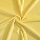 Light Yellow Fleece Throw Blanket 60"x80" Super Soft Flannel Blanket Warm Fuzzy Reversible Throw Blanket for Couch Bed Sofa 