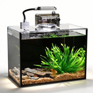 2 Gallon Betta Fish Tank, Small Aquarium Kit,Glass Small Fish Tank,Betta Fish Tank with a lid and Light and Filter, Small Transparent Glass Fish Tank with Light and Filter (Black Glass Background)