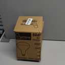 250 Watts Heat Lamp Bulbs, R40 Brooder Heat Lamp Bulbs for Chickens, Infrared Reflector Heat Bulbs for Brooder Heater, Incandescent Heating bulb for Chicks, Pet, Light Therapy, Bathroom, Food (1 Pack)