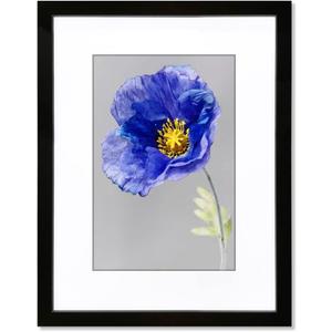 VNVNK 14x18 Frame Black, Perfect for 14x18 Inch Picture without Mat or 10x14 Inch Picture with Mat, Home Wall Decor Picture Frame-1 PCS