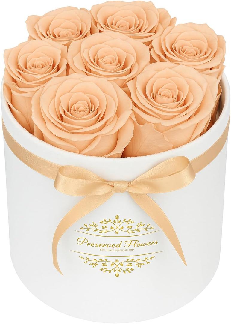 7 Forever Flowers in a Luxury Suede Box, Preserved Roses Birthday Gifts for Women, Romantic Anniversary Wedding Gifts for Women Her Girlfriend Wife, Champagne