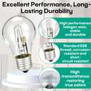 8-Pack 043168787963 & 78796 Replacement Halogen Light Bulbs, 43W A19 E26 Base, 120V, 60W Equivalent Clear Bulbs for Table Lamps, Ceiling Fixtures & Enclosed Lighting