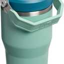 STANLEY IceFlow 2.0 Flip Straw Tumbler with Handle 20 oz | Twist On Lid and Flip Up Straw | Leakproof Water Bottle | Insulated Stainless Steel | BPA-Free | Spring Green
