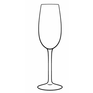 Lumiere 5oz Plastic Champagne Flutes Glasses, 10 Pcs 