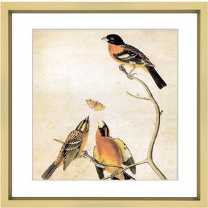 6x6 Picture Frame, Brass Metal Photo Frames with HD Glass, Fits 5x5 with Mat or 6 x 6 without Mat, Display for Wall and Table, 1 Pack