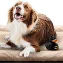 VERZEY Extra Large Dog Bed Mat Crate Pad Fit Metal Dog Crates,Ultra Soft Dog Crate Bed Washable & Anti-Slip Kennel Pad for Dogs Cozy Sleeping Mat,Cream 48L x30W x1H Inches XL