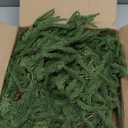 Hananona 2 Pcs 6 Ft Artificial Norfolk Pine Garlands, Real Touch Winter Pine Garland, Green Artificial Greenery Garland for Table, Mantle, Wall, Indoor, Outdoor Christmas Decorations (2, 6 FT)